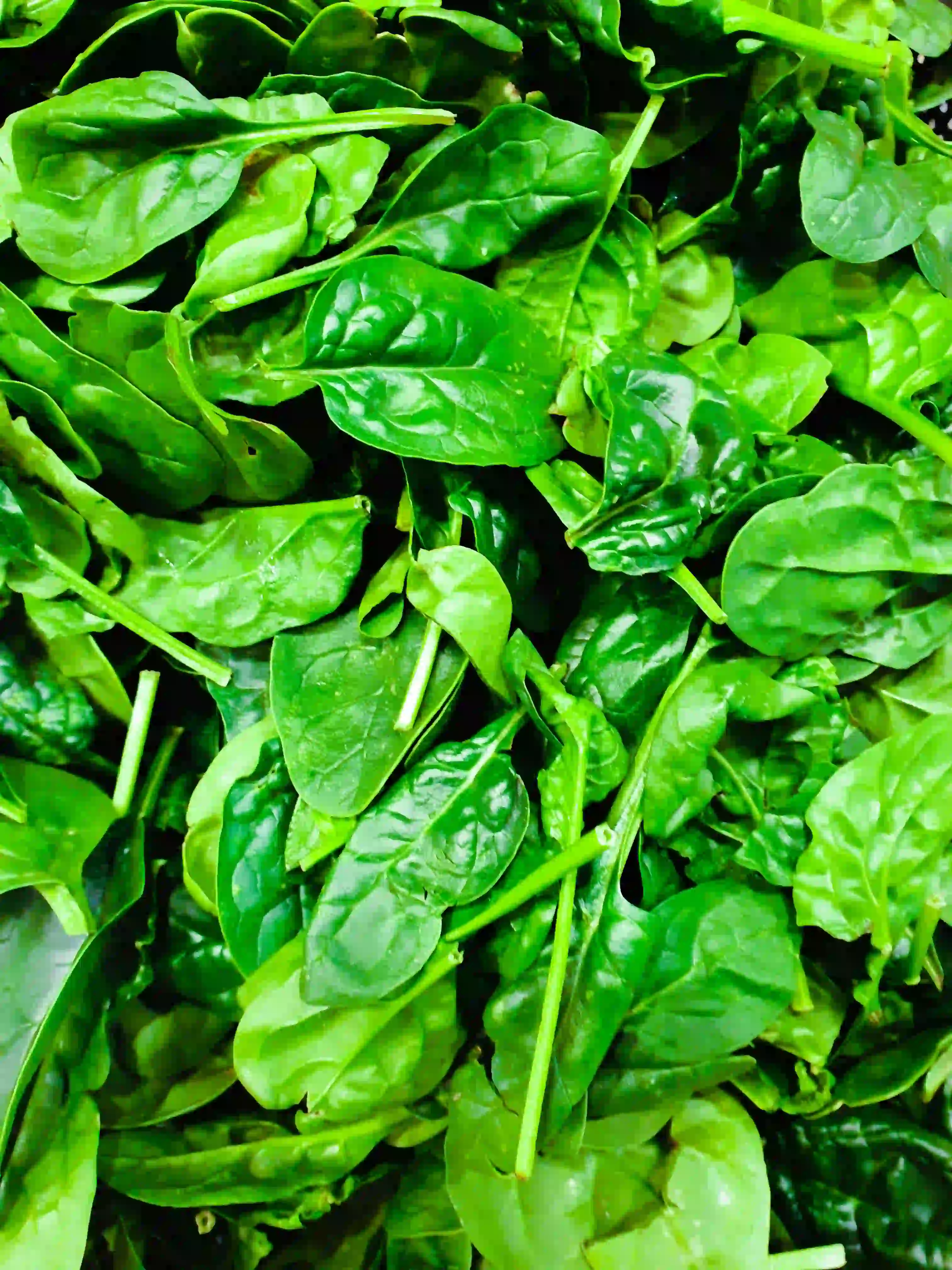 Iron Deficiency Anaemia — Why It's So Common in African Women and How to Actually Fix It